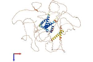 AlphaFold protein structure predicition of Mouse Recombinant Pou2f1 Protein, UniprotID P25425