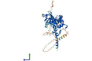 AlphaFold protein structure predicition of Mouse Recombinant Stk3 Protein, UniprotID Q9JI10