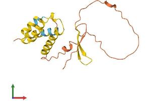 AlphaFold protein structure predicition of Human Recombinant FAM86C2P Protein, UniprotID A6NEL3
