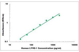 Representative Standard Curve (LYVE1 Kit ELISA)