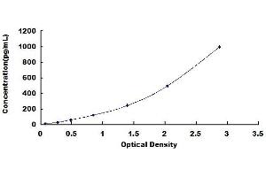 Typical standard curve (Nerve Growth Factor Kit ELISA)
