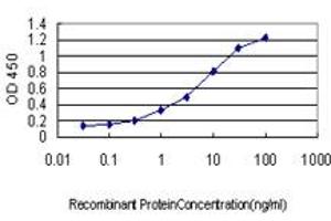 Detection limit for recombinant GST tagged HOXB1 is approximately 0. (HOXB1 anticorps  (AA 1-74))