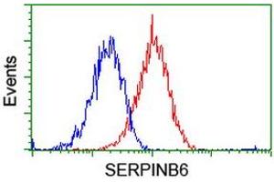 Flow cytometric Analysis of Hela cells, using anti-SERPINB6 antibody (ABIN2455600), (Red), compared to a nonspecific negative control antibody, (Blue). (SERPINB6 anticorps)