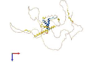 AlphaFold protein structure predicition of Human Recombinant TOX2 Protein, UniprotID Q96NM4
