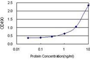 Sandwich ELISA detection sensitivity ranging from 0. (NOP16 (Humain) Matched Antibody Pair)