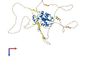 AlphaFold protein structure predicition of Human Recombinant CDC25A Protein, UniprotID P30304