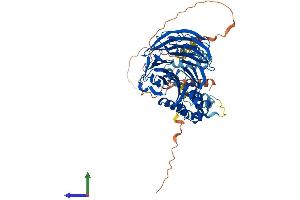 AlphaFold protein structure predicition of Human Recombinant BTRC Protein, UniprotID Q9Y297