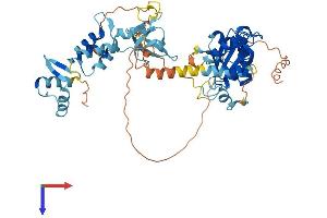 AlphaFold protein structure predicition of Human Recombinant GIN1 Protein, UniprotID Q9NXP7