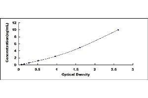 Typical standard curve (ARNT Kit ELISA)
