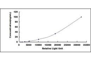 ELISA image for Meningioma Expressed Antigen 5 (Hyaluronidase) (MGEA5) CLIA Kit (ABIN1081779)