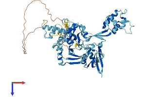AlphaFold protein structure predicition of Mouse Recombinant Eif2d Protein, UniprotID Q61211