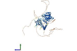 AlphaFold protein structure predicition of Human Recombinant ARHGAP22 Protein, UniprotID Q7Z5H3