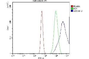 Flow Cytometry analysis of A431 cells using anti-KMT1B/SUV39H2 antibody (ABIN7602135). (SUV39H2 anticorps  (AA 6-410))