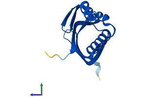 AlphaFold protein structure predicition of Human Recombinant NUTF2 Protein, UniprotID P61970