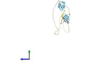 AlphaFold protein structure predicition of Human Recombinant SRSF6 Protein, UniprotID Q13247