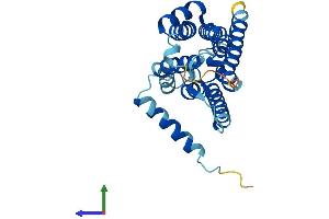 AlphaFold protein structure predicition of Mouse Recombinant Nrm Protein, UniprotID Q8VC65