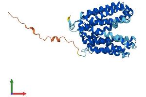 AlphaFold protein structure predicition of Mouse Recombinant Slc16a13 Protein, UniprotID Q8CE94