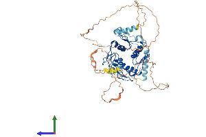 AlphaFold protein structure predicition of Human Recombinant ZNF205 Protein, UniprotID O95201