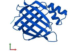 AlphaFold protein structure predicition of Human Recombinant CRABP2 Protein, UniprotID P29373