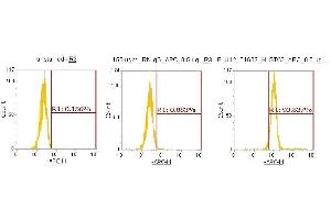 Flow Cytometry (FACS) image for anti-Stanniocalcin 2 (STC2) (AA 25-302) antibody (APC) (ABIN5566189) (Stanniocalcin 2 anticorps  (AA 25-302) (APC))