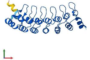 AlphaFold protein structure predicition of Human Recombinant PSMD10 Protein, UniprotID O75832