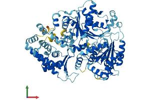 AlphaFold protein structure predicition of Human Recombinant ERCC2 Protein, UniprotID P18074