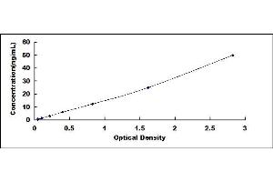 Typical standard curve (alpha Actinin 4 Kit ELISA)
