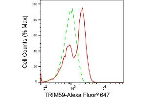 anti-Tripartite Motif Containing 59 (TRIM59) antibody