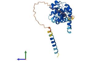 AlphaFold protein structure predicition of Mouse Recombinant Orc6 Protein, UniprotID Q9WUJ8