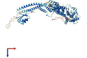 AlphaFold protein structure predicition of Human Recombinant TCIRG1 Protein, UniprotID Q13488