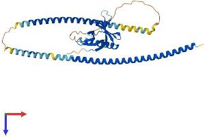 AlphaFold protein structure predicition of Human Recombinant HOMER3 Protein, UniprotID Q9NSC5