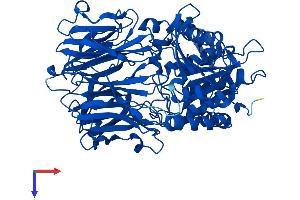 AlphaFold protein structure predicition of Mouse Recombinant Prep Protein, UniprotID Q9QUR6