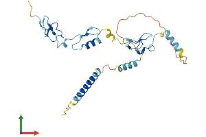 AlphaFold protein structure predicition of Human Recombinant ZFAND2B Protein, UniprotID Q8WV99