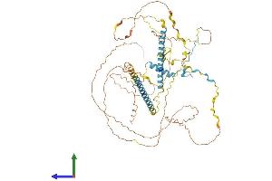 AlphaFold protein structure predicition of Human Recombinant FIP1L1 Protein, UniprotID Q6UN15