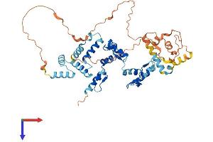AlphaFold protein structure predicition of Human Recombinant ZNF213 Protein, UniprotID O14771