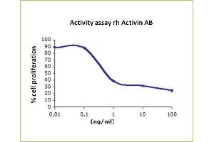 Image no. 1 for Activin AB (ACVAB) (Active) protein (ABIN1019702)