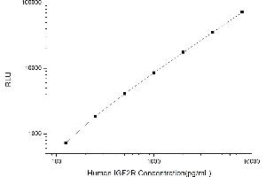 Insulin-Like Growth Factor 2 Receptor (IGF2R) CLIA Kit