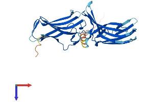 AlphaFold protein structure predicition of Human Recombinant VPS26A Protein, UniprotID O75436