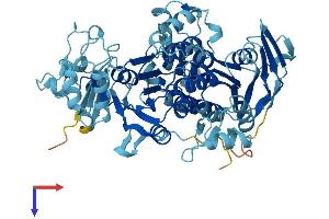 AlphaFold protein structure predicition of Mouse Recombinant Abce1 Protein, UniprotID P61222