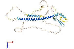 AlphaFold protein structure predicition of Human Recombinant CREBZF Protein, UniprotID Q9NS37