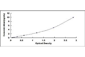 Typical standard curve