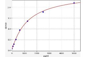 Typical standard curve (PREX2 Kit ELISA)