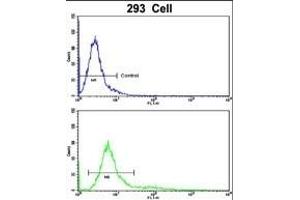 Flow cytometric analysis of 293 cells using RAB13 Antibody (Center)(bottom histogram) compared to a negative control cell (top histogram).