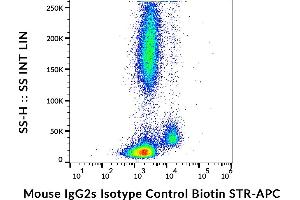 Example of nonspecific mouse IgG2a (MOPC-173) biotin signal on human peripheral blood, surface staining, 3 μg/mL. (Souris IgG2a isotype control (Biotin))
