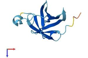 AlphaFold protein structure predicition of Human Recombinant MTCP1 Protein, UniprotID P56278