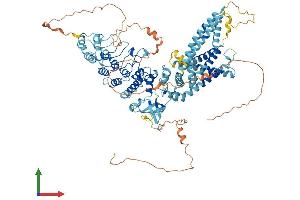 AlphaFold protein structure predicition of Human Recombinant TRPV4 Protein, UniprotID Q9HBA0