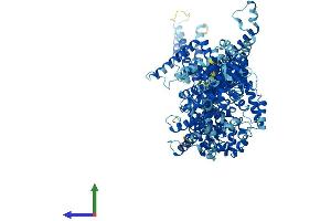 AlphaFold protein structure predicition of Mouse Recombinant Washc5 Protein, UniprotID Q8C2E7