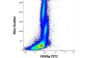 Flow cytometry surface staining pattern of human peripheral whole blood stained using anti-human CD85g (17G10. (LILRA4 anticorps  (FITC))