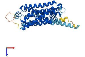 AlphaFold protein structure predicition of Mouse Recombinant Taar1 Protein, UniprotID Q923Y8