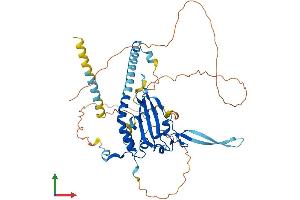 AlphaFold protein structure predicition of Human Recombinant NAP1L2 Protein, UniprotID Q9ULW6